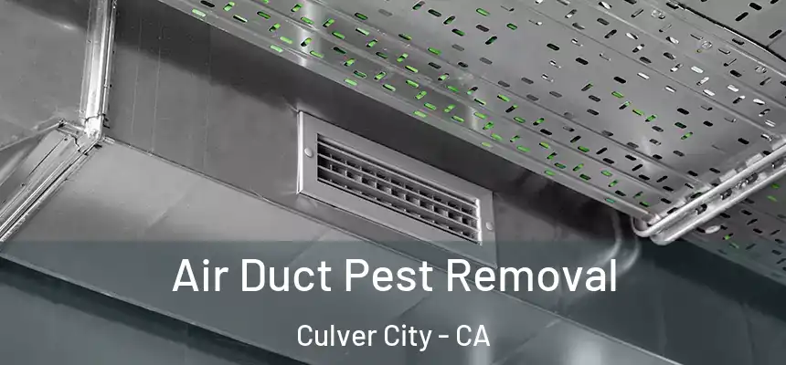 Air Duct Pest Removal Culver City - CA