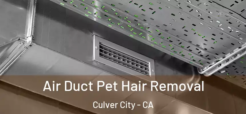 Air Duct Pet Hair Removal Culver City - CA