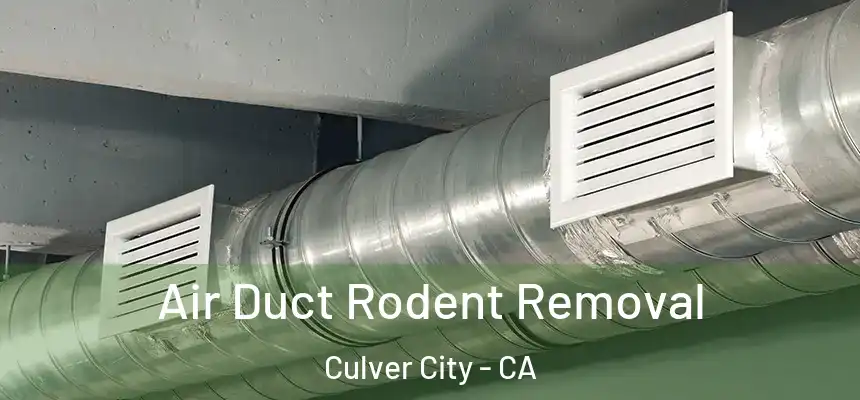  Air Duct Rodent Removal Culver City - CA