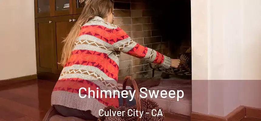 Chimney Sweep Culver City - CA