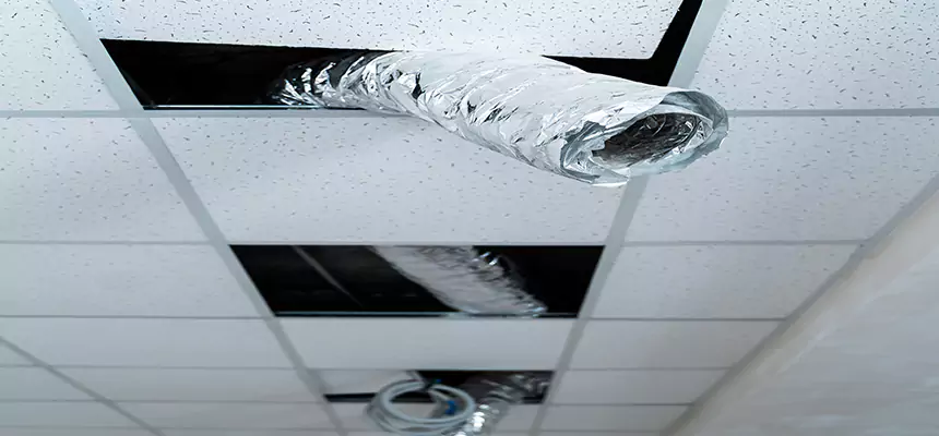 Our Air Duct Pet Hair Removal Services in Culver City, CA