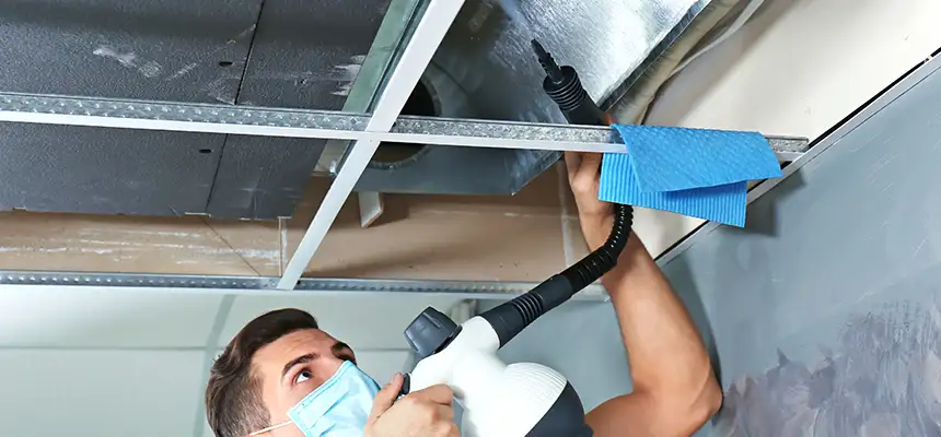 Our Air Duct Rodent Removal Services in Culver City, CA