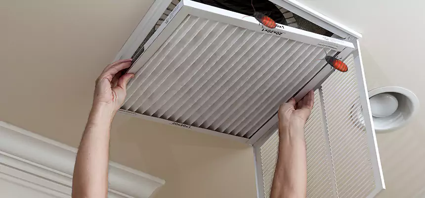 Our Insect Removal from Air Ducts Services in Culver City, CA