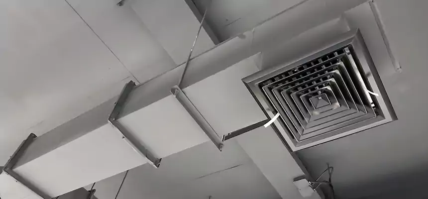 Our Rodent Droppings In Vents Services in Culver City, CA