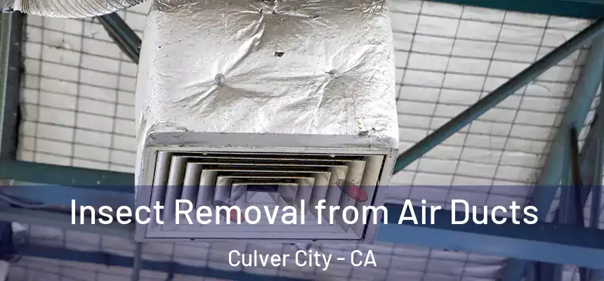 Insect Removal from Air Ducts Culver City - CA