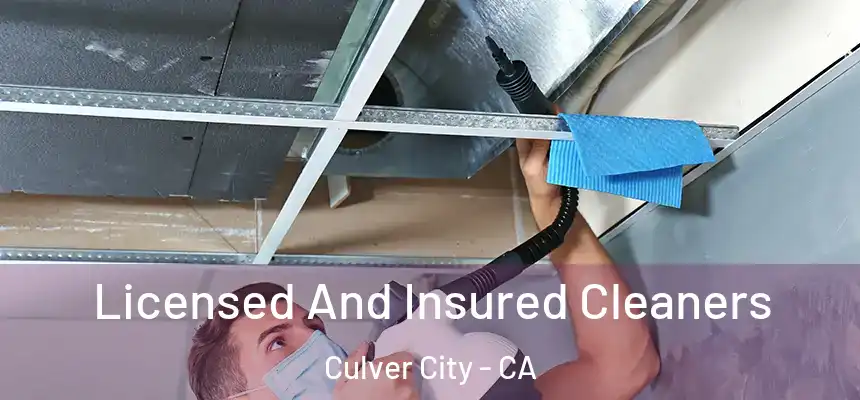 Licensed And Insured Cleaners Culver City - CA
