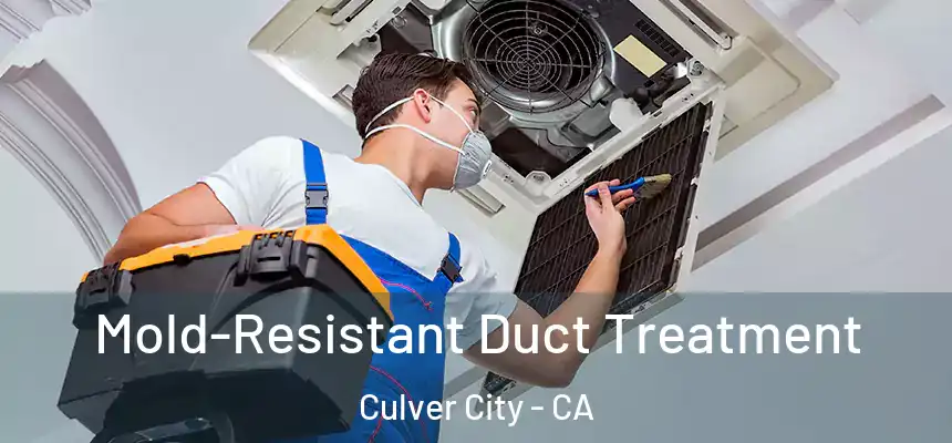  Mold-Resistant Duct Treatment Culver City - CA
