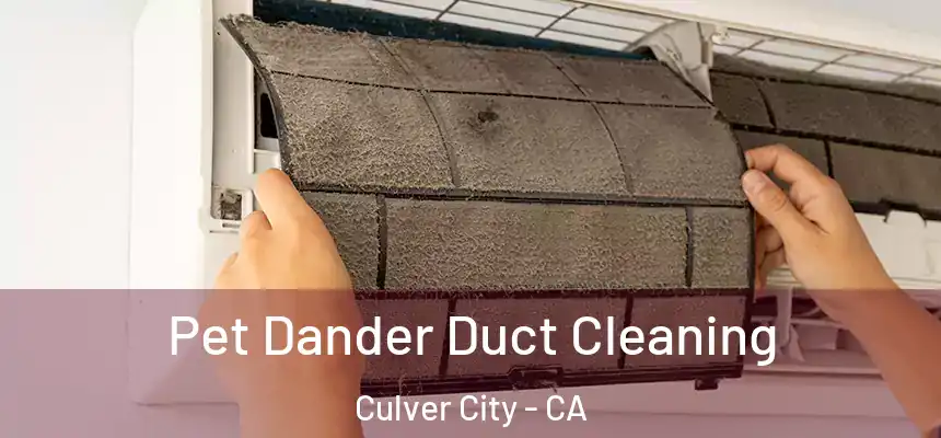 Pet Dander Duct Cleaning Culver City - CA