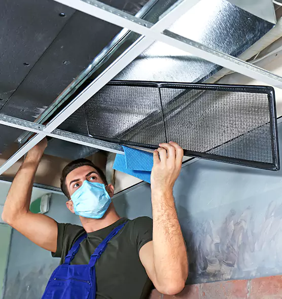 About Air Duct Bacteria Removal in Culver City
