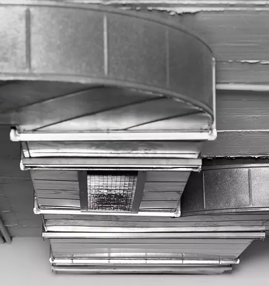 Professional Air Duct Pest Removal in Culver City, CA