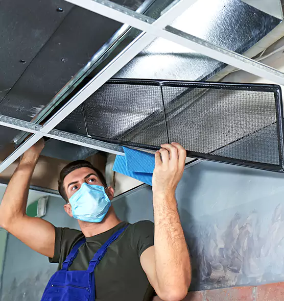 Professional Air Duct Pollen Cleaning in Culver City, CA