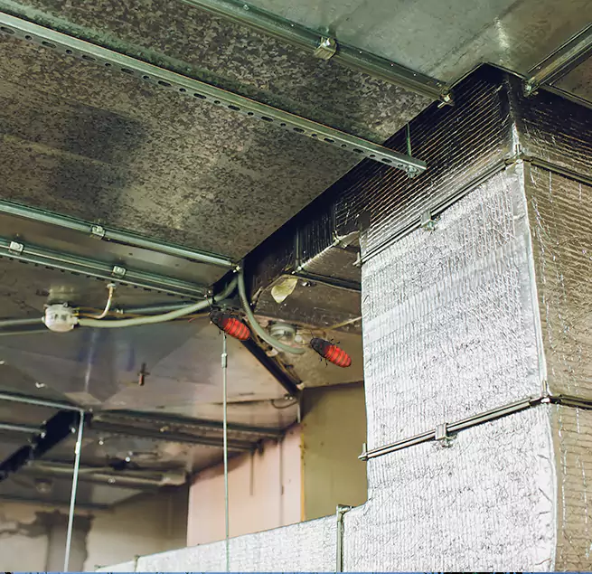 Why Homeowners & Businesses Trust Us Culver City, CA?