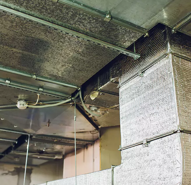 Why Homeowners & Businesses Trust Us in Culver City, CA?